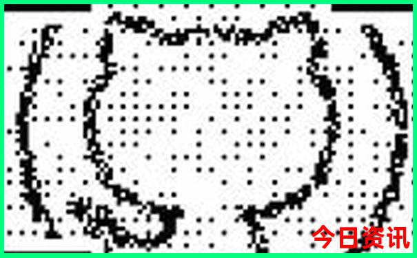 柳州公园有哪些景点
